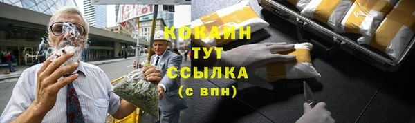 индика Балахна