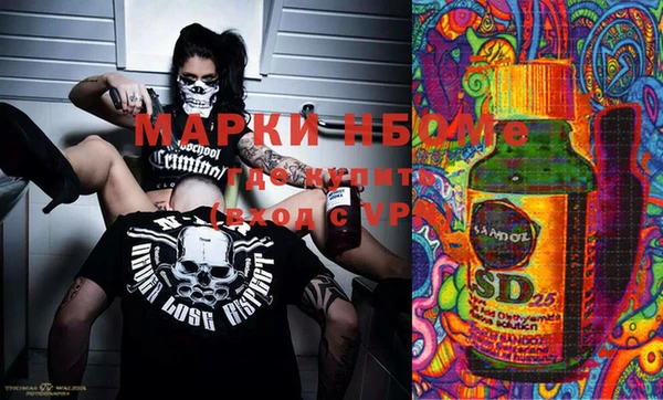 индика Балахна