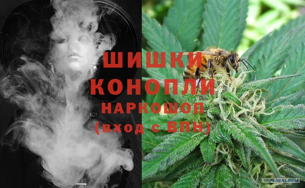 индика Балахна