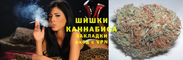 индика Балахна
