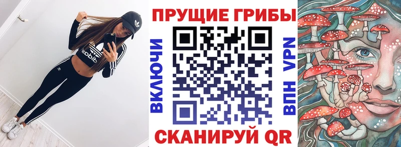 Псилоцибиновые грибы MAGIC MUSHROOMS  shop формула  Новая Ладога  наркошоп 